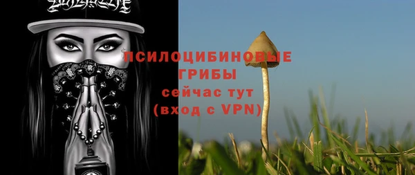 кристаллы Богородск