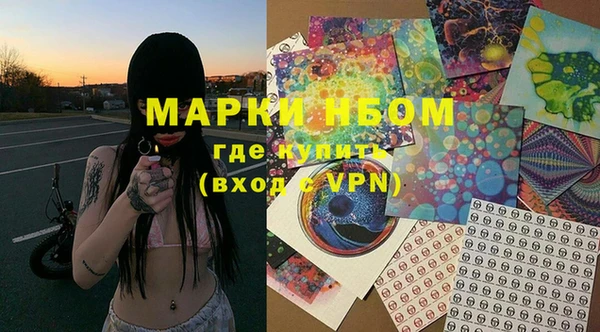 гидра Богданович